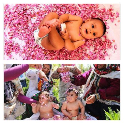 Rolling flower children before one year of age ceremony in Damghan, which is to vaccinate children against the sensitivity of plant in the spring