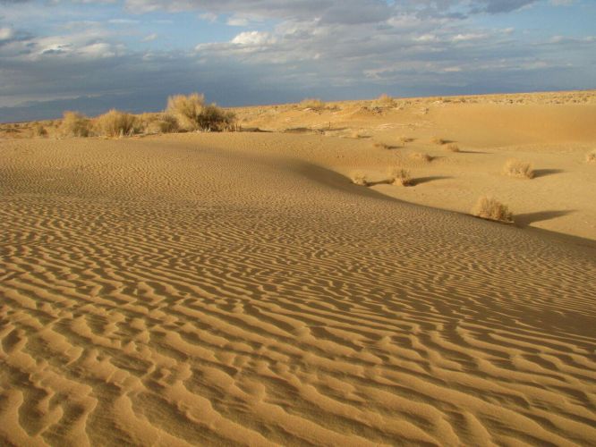 Desert Damghan