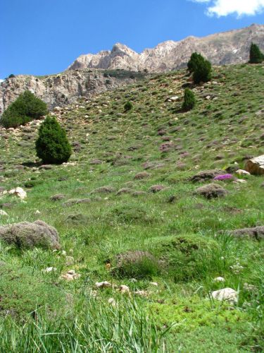 Way to Nesrova Water Fall In Damghan